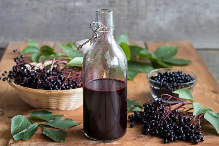 Lyme disease, elderberry syrup and immune support