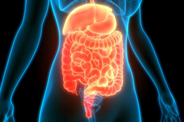 Gut Health 101: How Your Microbiome Influences Wellness