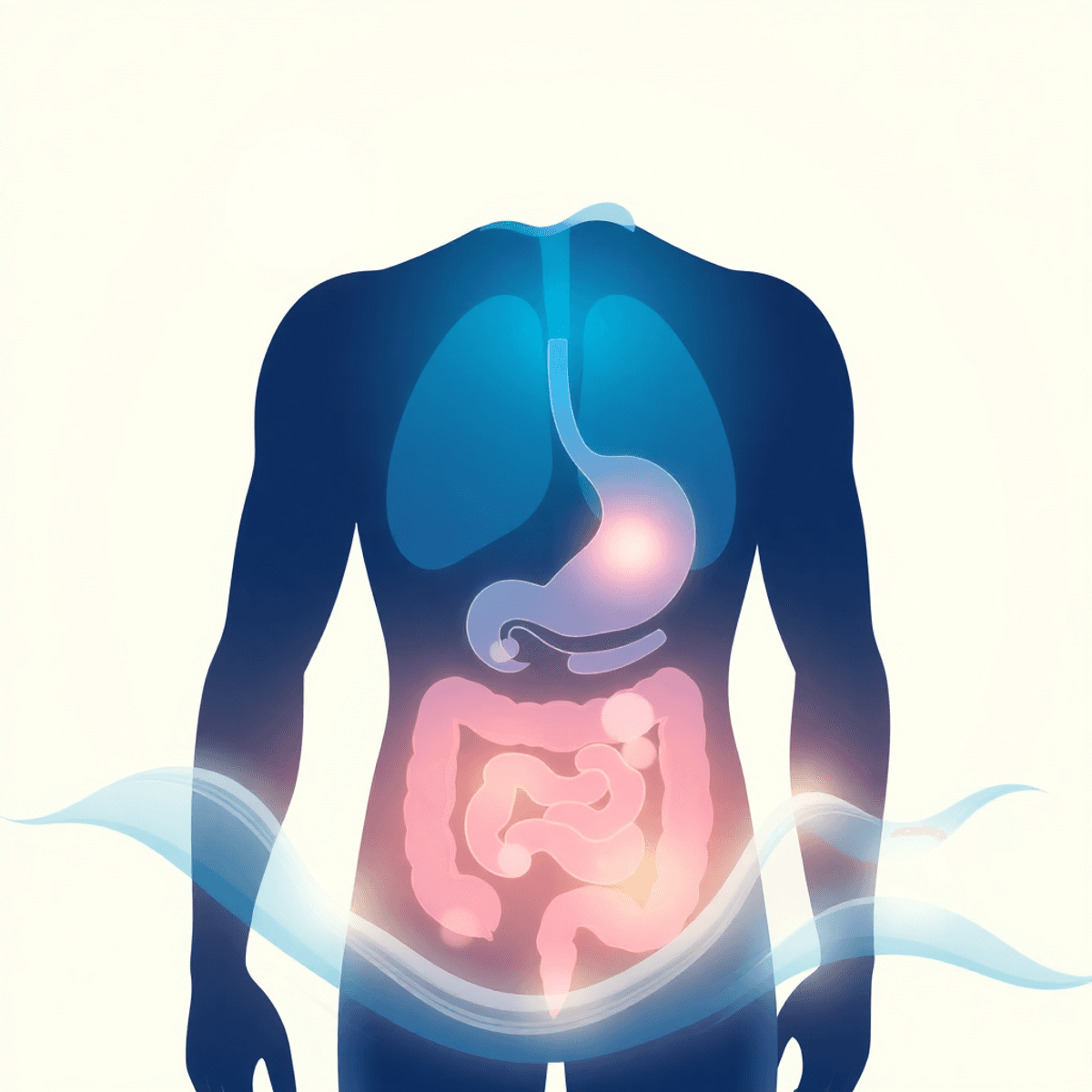 Human silhouette with glowing digestive system amid soft waves, symbolizing stress relief and the mind-gut connection on a light background.