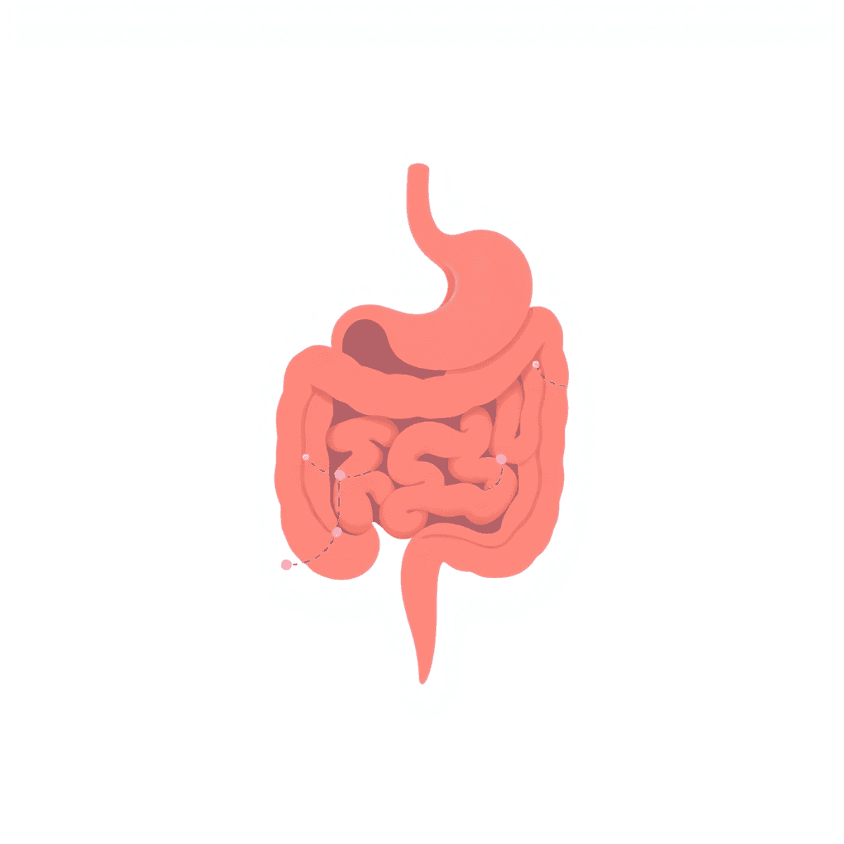 Illustration of a healthy digestive system with soft colors and subtle brain-gut connection graphics on a light background.