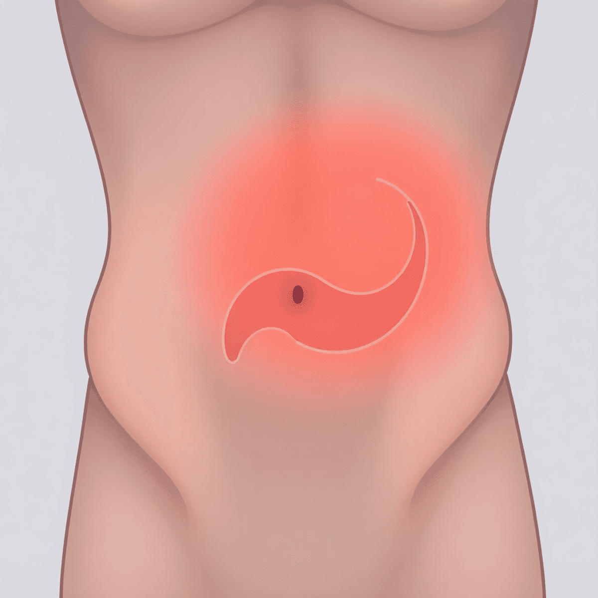 Illustration of a human torso with gentle waves around the stomach, symbolizing anxiety-induced stomach pain in soft, muted colors.